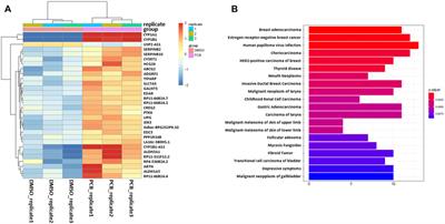 Rapid and simple analysis of short and long sequencing reads using DuesselporeTM